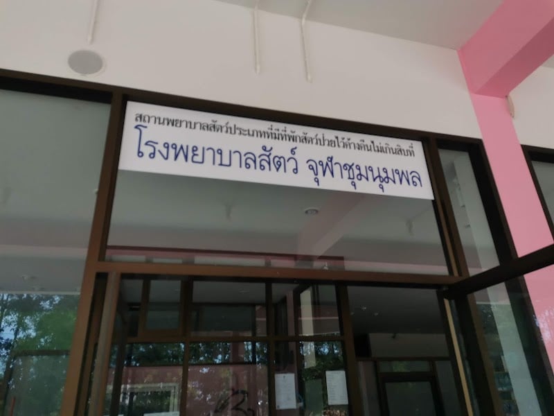 จุฬาชุมนุมพล โรงพยาบาลสัตว์