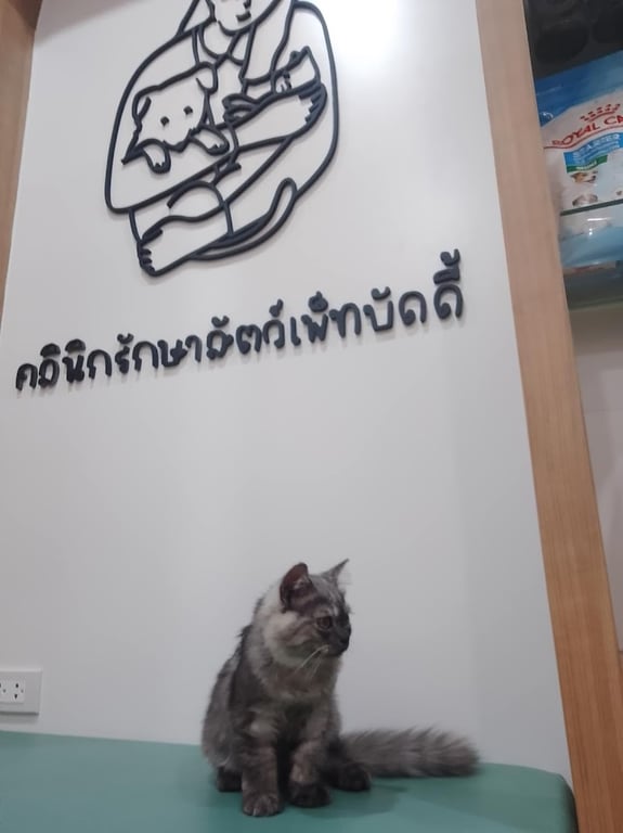 คลินิกรักษาสัตว์เพ็ทบัดดี้