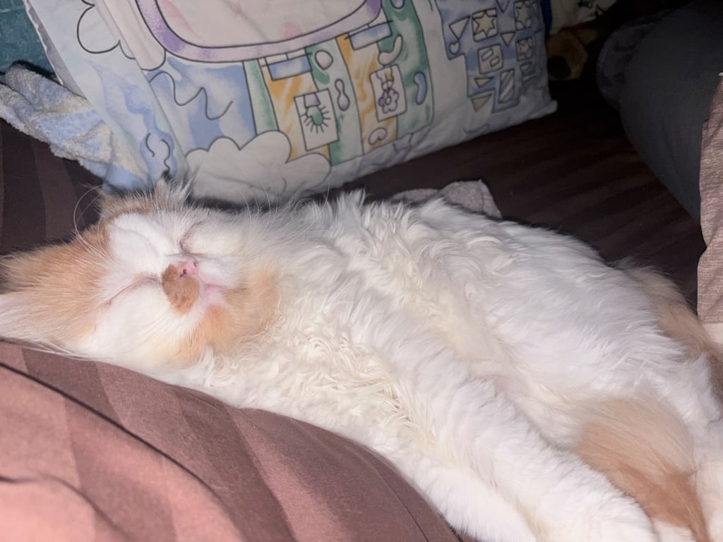 ยูโร