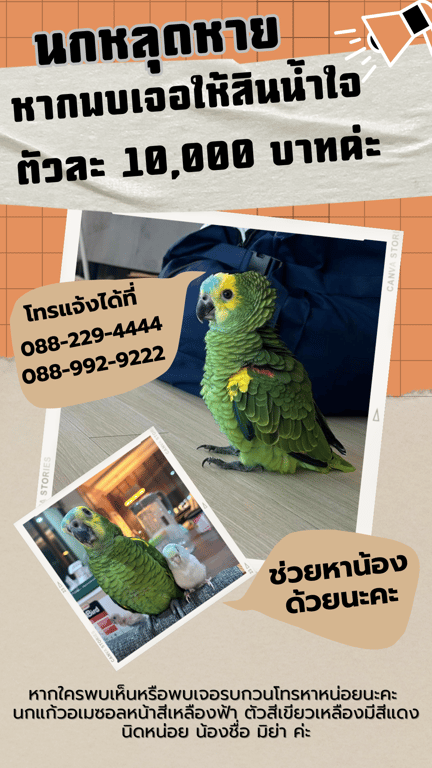 มิย่า