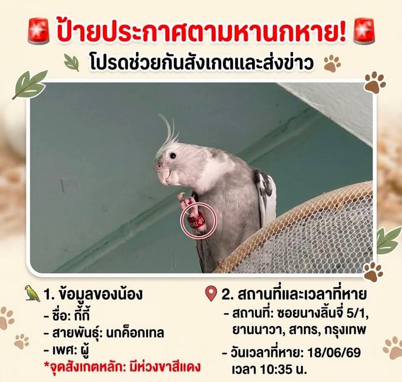 กี้กี้