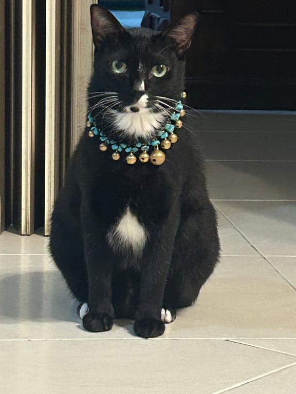 ข้าวขาหมู