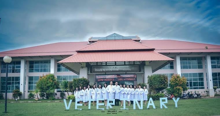 โรงพยาบาลสัตว์ คณะสัตวแพทยศาสตร์ ม.เทคโนโลยีราชมงคลศรีวิชัย (ทุ่งใหญ่)