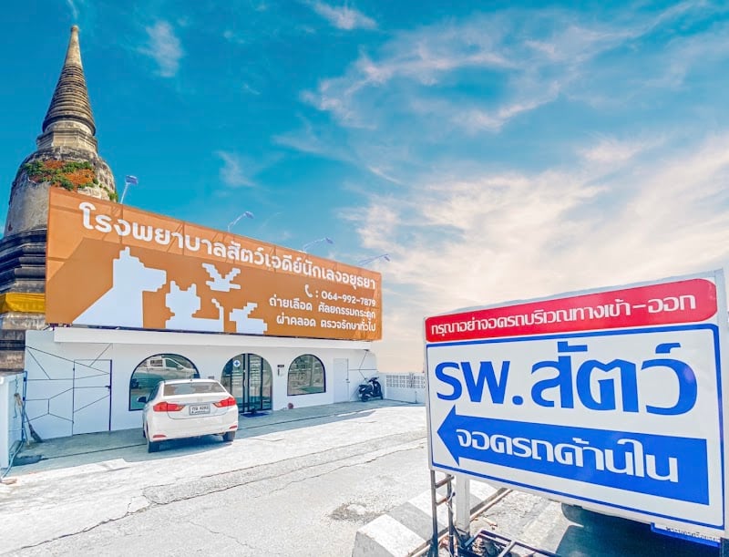โรงพยาบาลสัตว์เจดีย์นักเลง อยุธยา