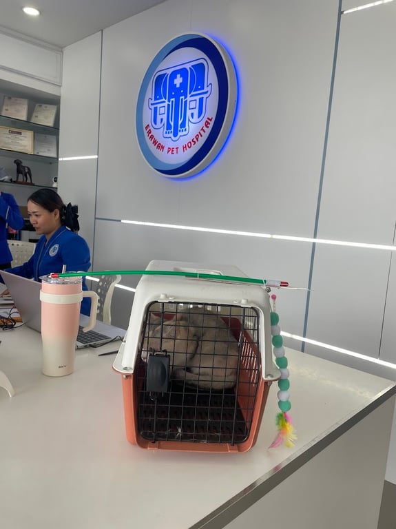 โรงพยาบาลสัตว์ลพบุรี