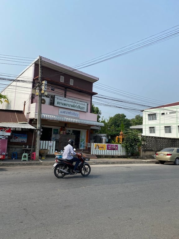 สถานพยาบาลสัตว์ ปริญญา หมออ้น
