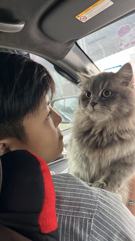 เดซี่