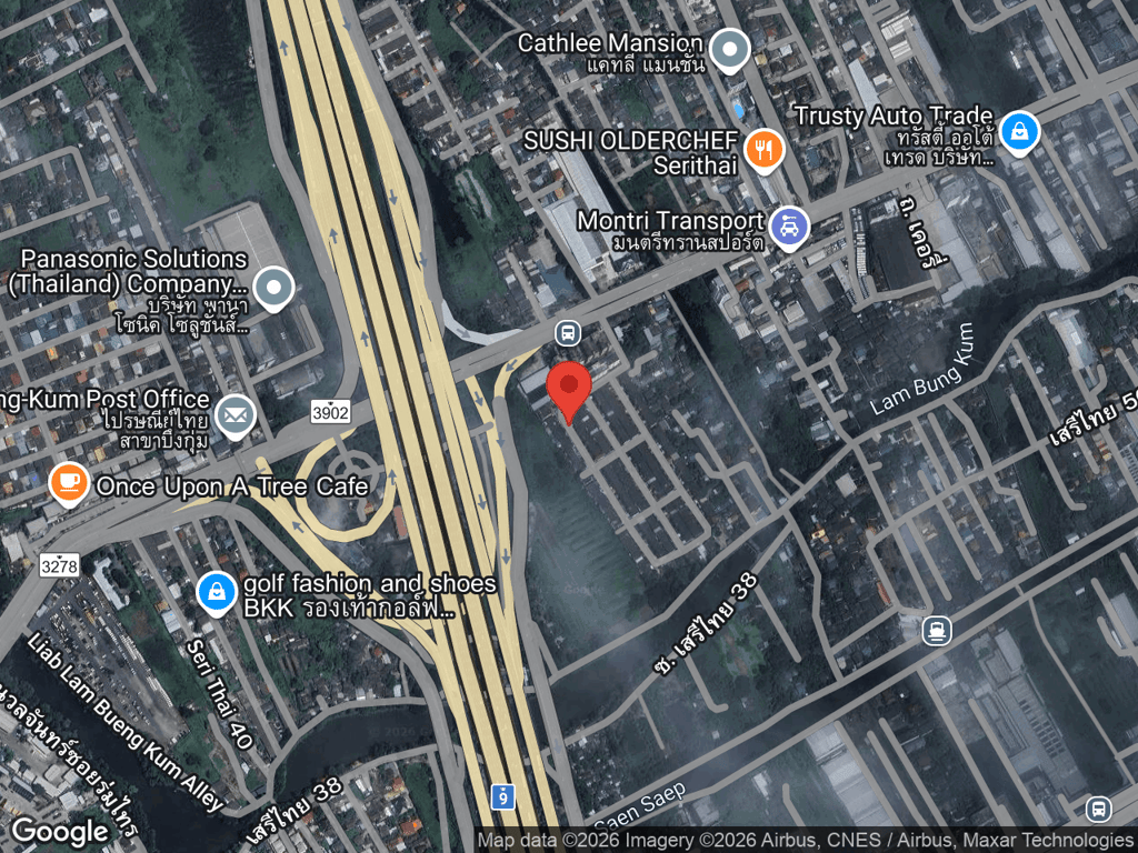 สถานที่หายของบราวนี่