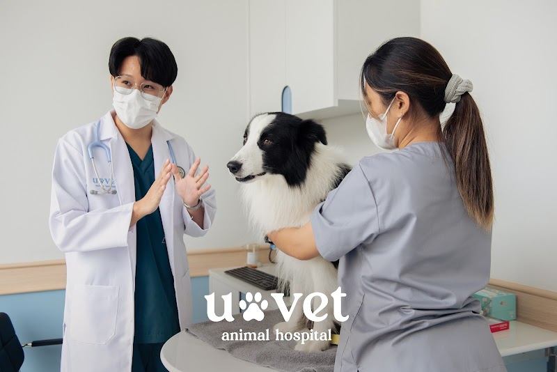 โรงพยาบาลสัตว์ยูเว็ท บางนา UVET Animal Hospital Bangna