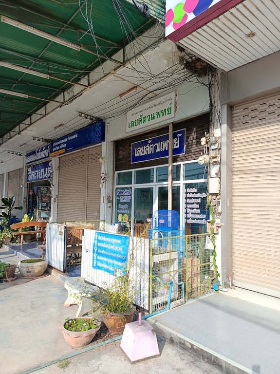 เลยสัตว์แพทย์