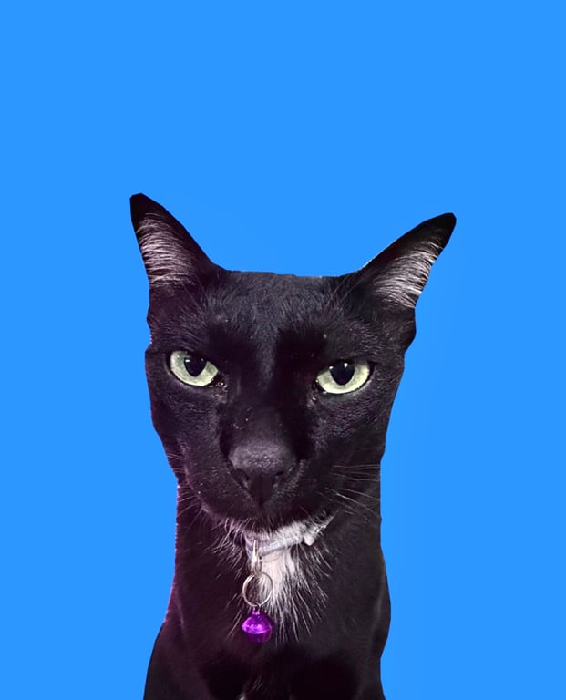 ดำ