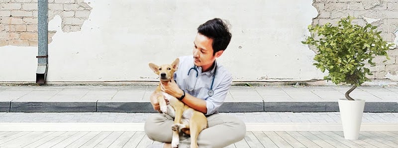 หมอเอกรักษาสัตว์