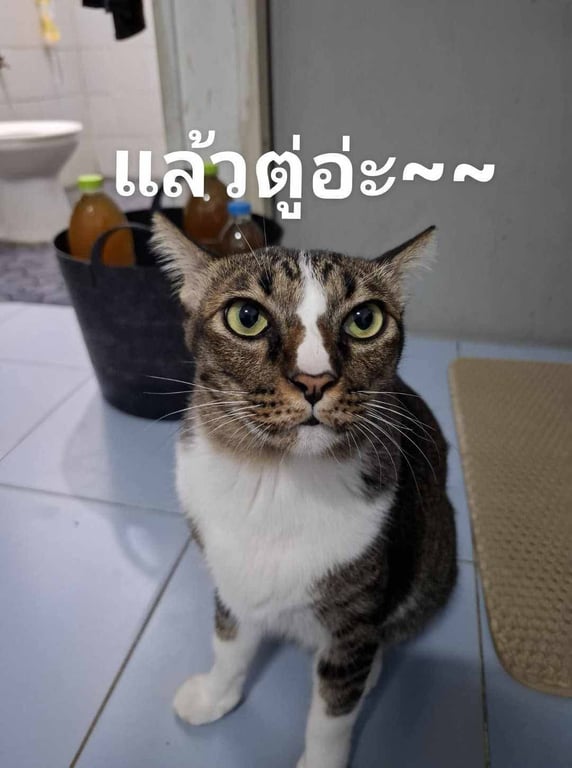 ข้าวเหนียว