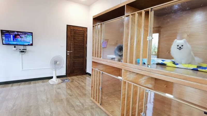 Good Dog Home รับฝากเลี้ยงสุนัขขอนแก่น