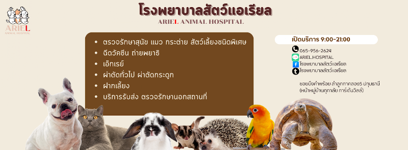 โรงพยาบาลสัตว์แอเรียล