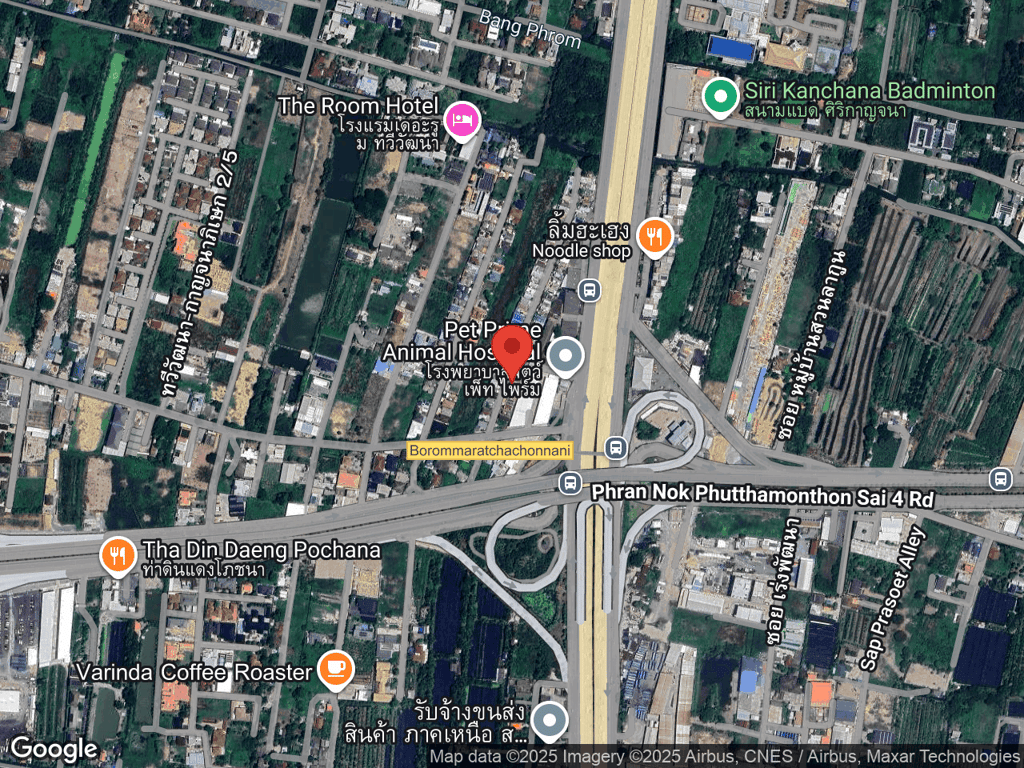 สถานที่หายของไวท์ตี้