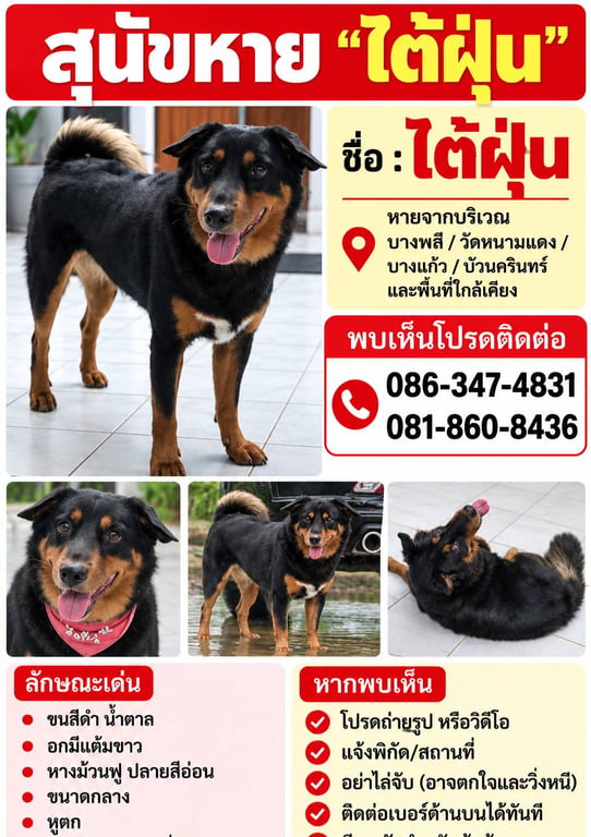ไต้ฝุ่น