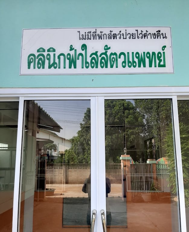 คลินิกฟ้าใสสัตวแพทย์ ลำปาง