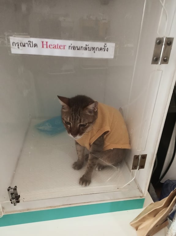 โอเคนรักษาสัตว์ Oken pet clinic