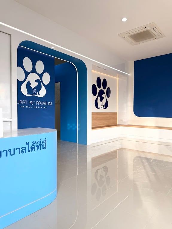 โรงพยาบาลสัตว์สุราษฎร์เพ็ทพรีเมียม