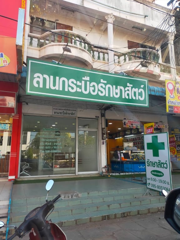 ลานกระบือรักษาสัตว์