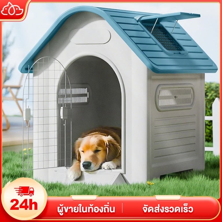 Dog House