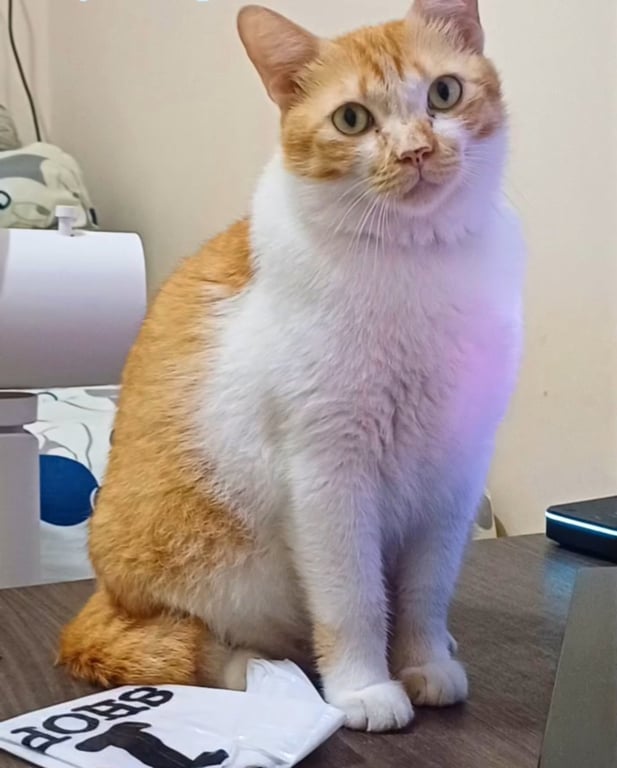 ทอง