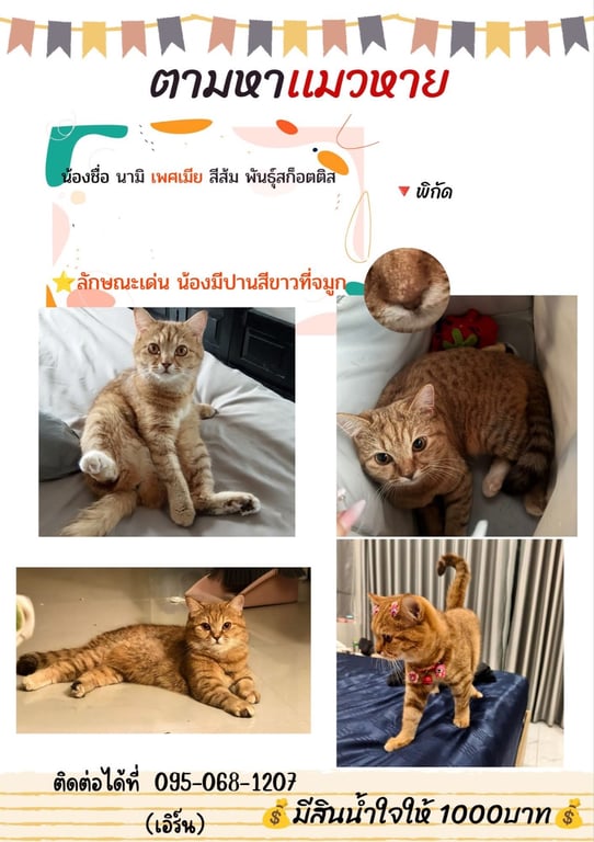 นามิ