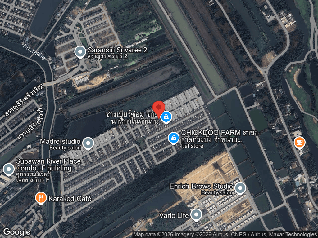 สถานที่หายของชิกเก้น