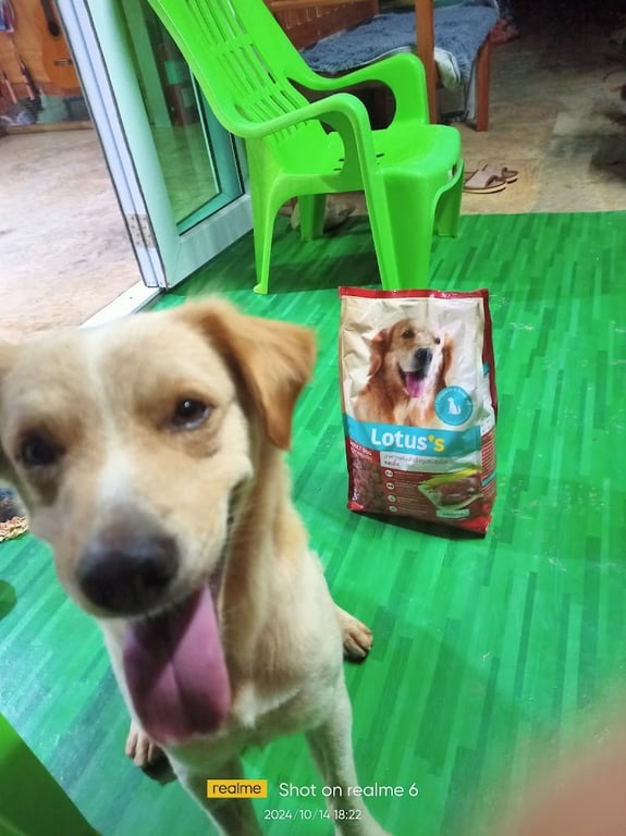 นันธิดาสัตวแพทย์
