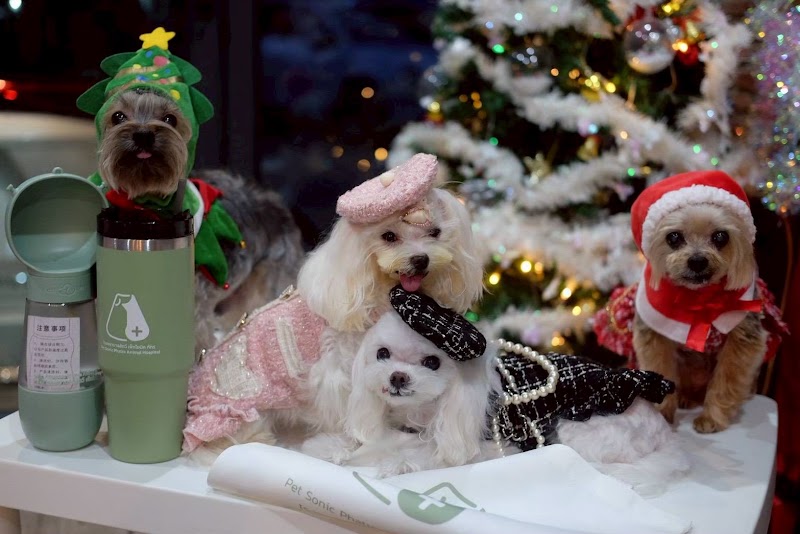 Pet Sonic Phatra Animal Hospital โรงพยาบาลสัตว์ เพ็ทโซนิค ภัทร