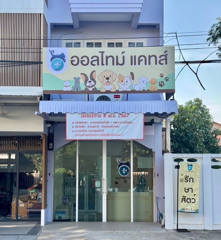 คลินิกรักษาสัตว์ ออลไทม์ แคทส์