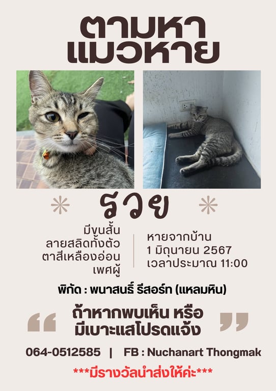 รวย