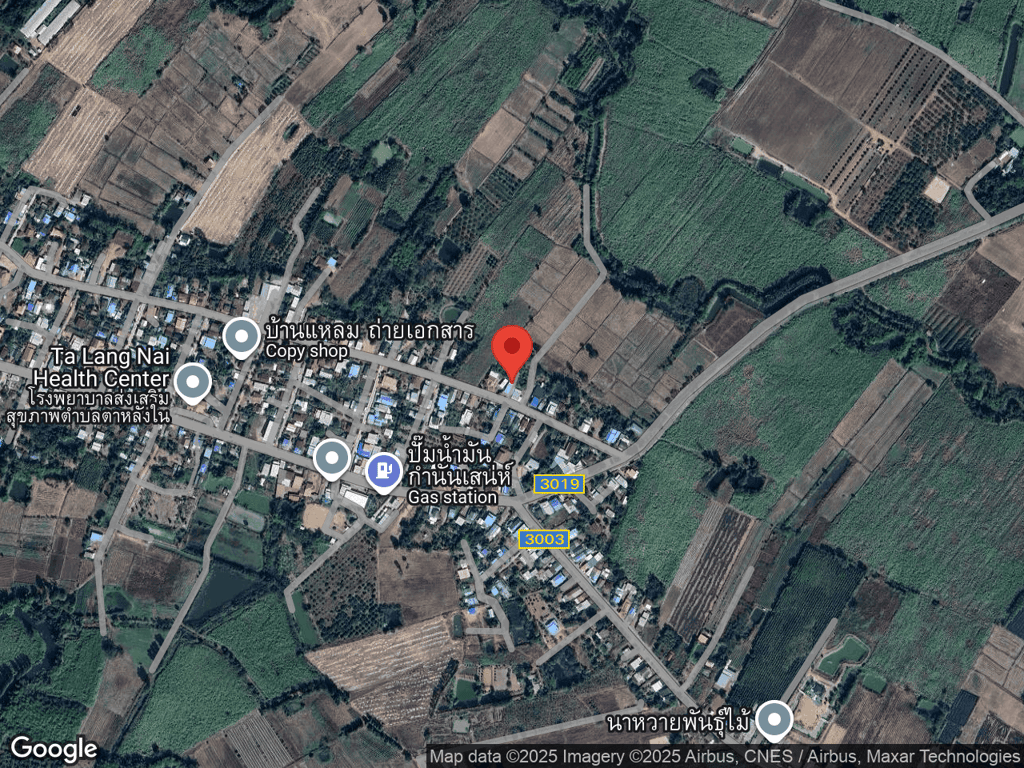 สถานที่หายของโกโก้