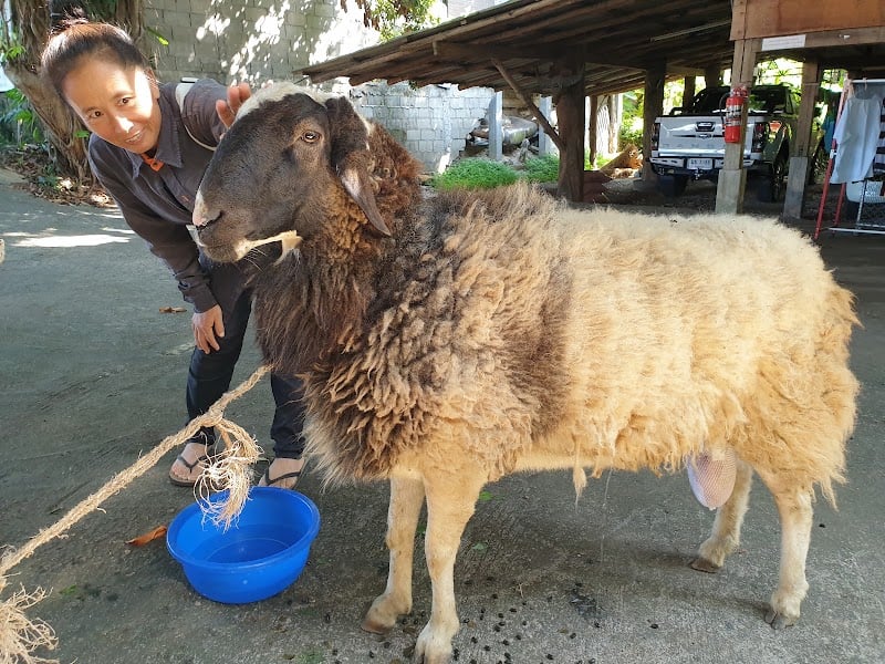 คลินิกน้ำแตงปศุสัตว์ (Namtang Animal Clinic)
