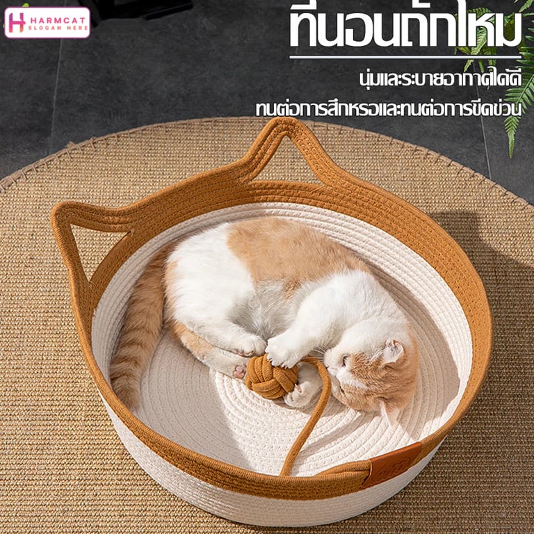 ที่นอนแมว เบาะแมว