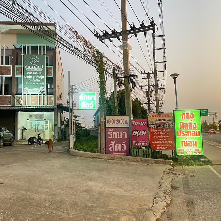 DD ANIMAL CLINIC ดีดี แอนิมอล คลินิก