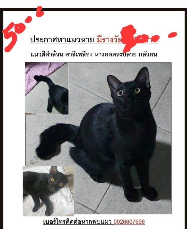 ดำ