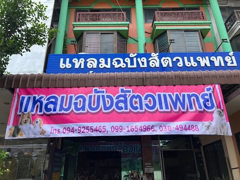 แหลมฉบังสัตวแพทย์4/5-6