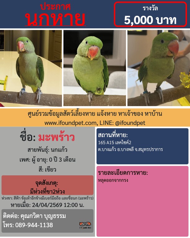 ใบประกาศ