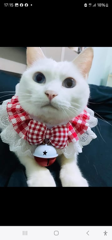 มณี