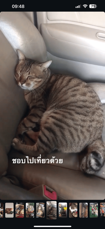 ม่อน / โดเรเม่อน