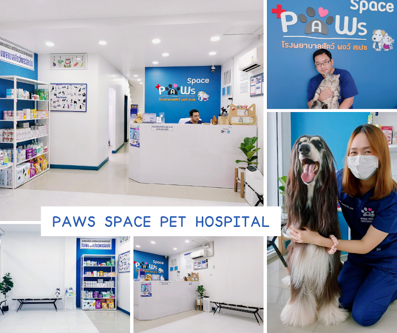 Paws Space Pet Hospital โรงพยาบาลสัตว์พอว์สเปซ