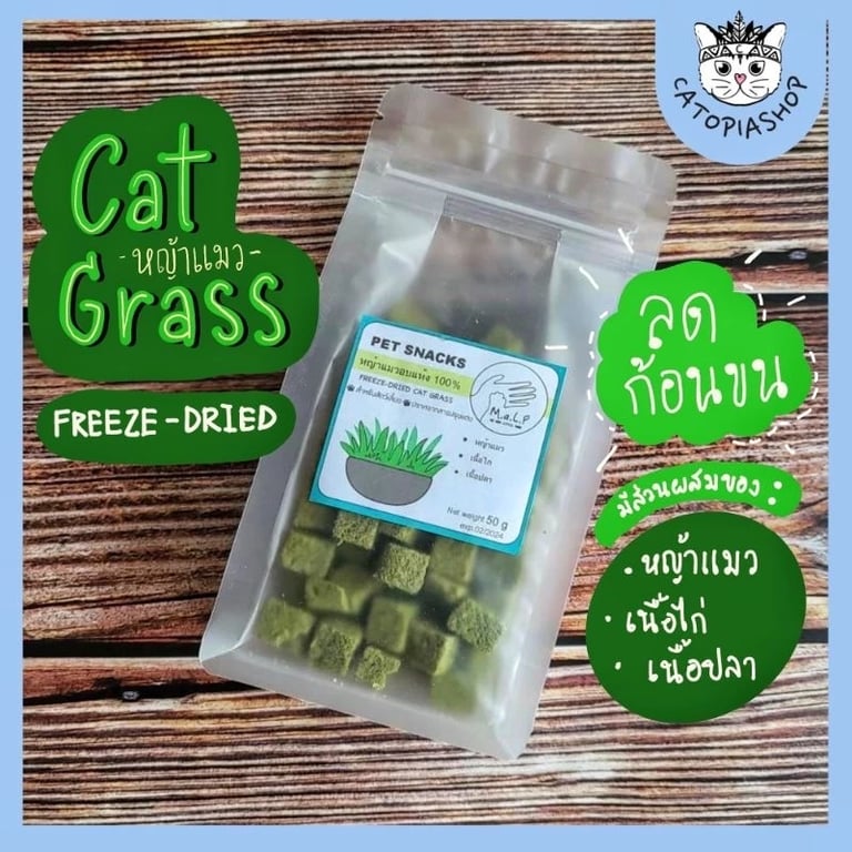 หญ้าแมวฟรีซดราย หญ้าแมวอบแห้ง ต้นอ่อนข้าวสาลี