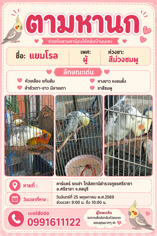 แยมโรล