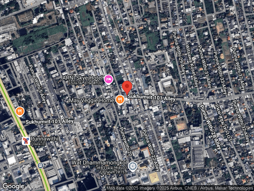 สถานที่หายของน้องเป็นแมวจรซึ่งเราตามหาเลยไม่มีชื่อ