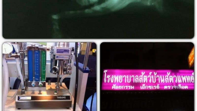โรงพยาบาลสัตว์บ้านสัตวแพทย์