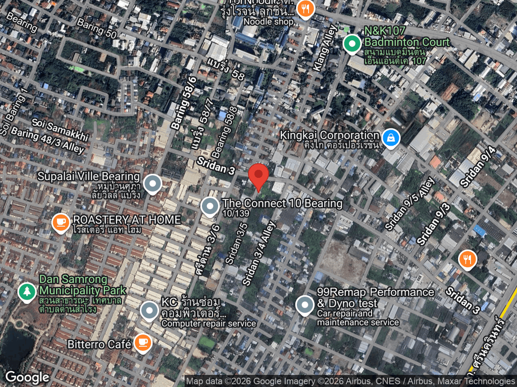 สถานที่หายของแมวชื่อไข่เต่า