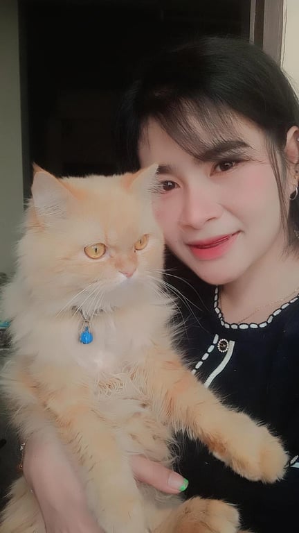 มีตัง
