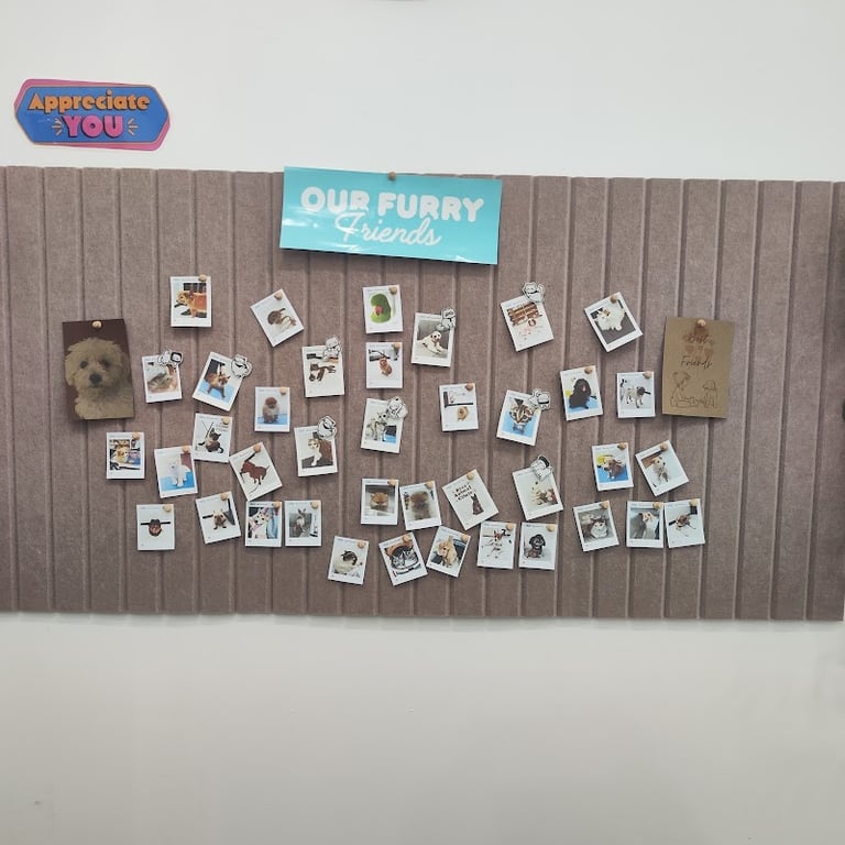 Blez Animal Clinic
